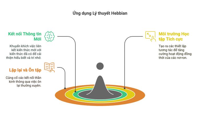 Áp dụng lý thuyết Hebbian trong giáo dục và phương pháp dạy học