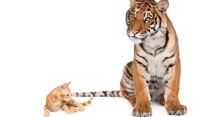 iStock/Erin McCarthy
