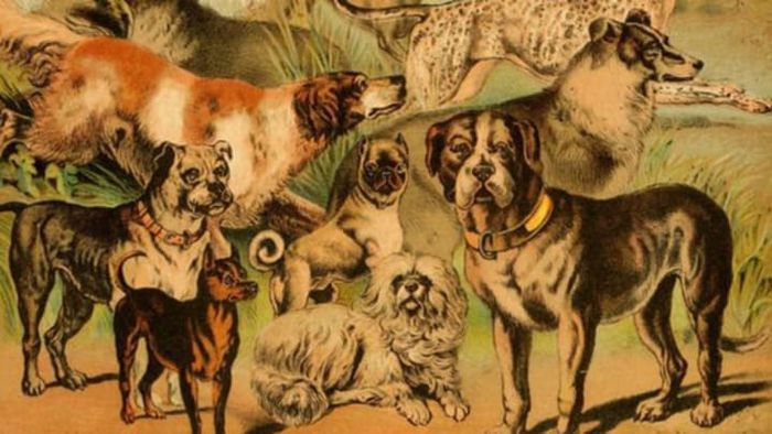 Loyal companions. (artvintage1800s.etsy.com/flickr)