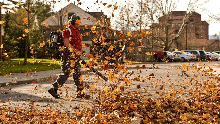 A person operating a leaf blower.