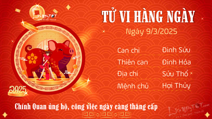 Tử vi hàng ngày 09/03/2025 - Tuổi Hợi