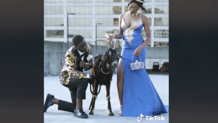 The Clueless Adults’ Handbook to Youth Trends: Why Are Teens Taking Prom Photos With Goats?