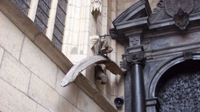 According to local legend, this bone is said to have come from the famed Wawel Dragon of Poland.