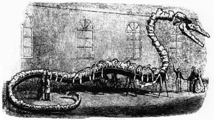 The 114-foot-long fossil skeleton of Albert Koch's 