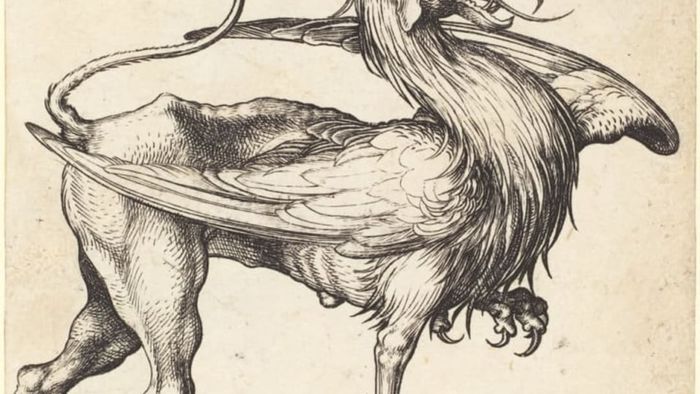 A 15th-century depiction of a griffin.