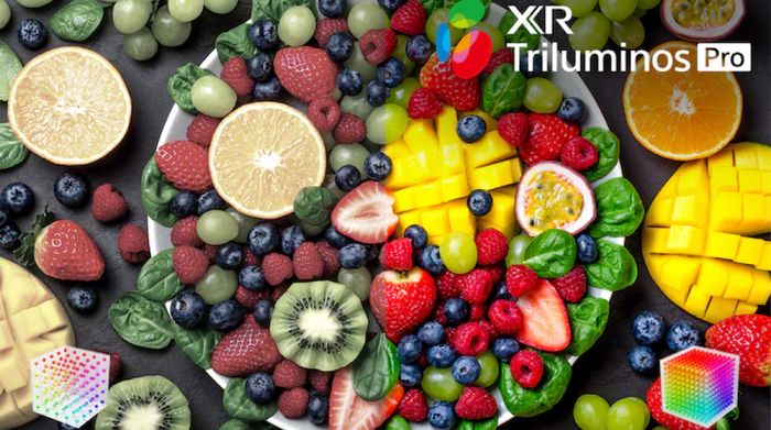 Công nghệ hình ảnh - Google Tivi Sony 4K 55 inch XR - 55X90K