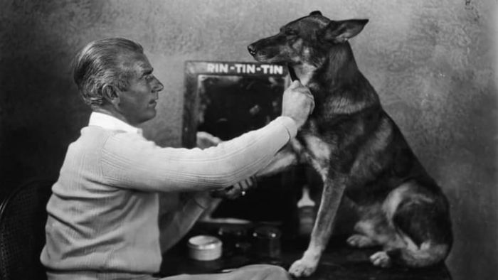 Rin Tin Tin