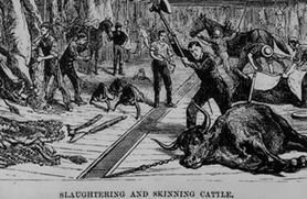 Vintage depiction of a slaughterhouse