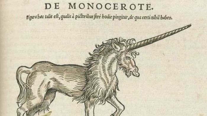 Marco Polo once described unicorns as unattractive ... unaware that he was actually observing a rhinoceros.