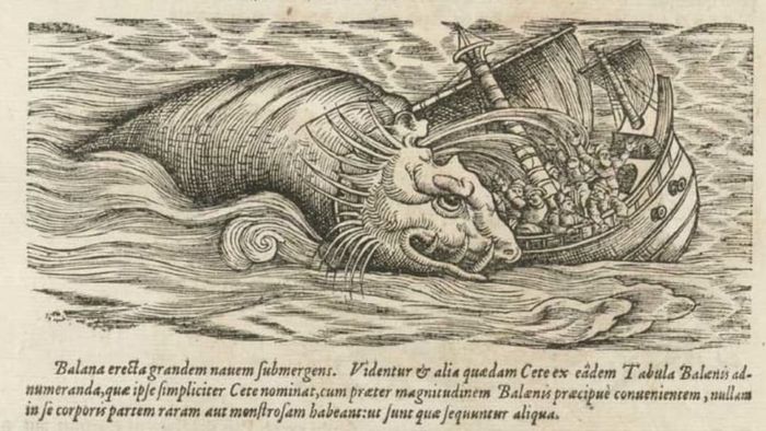 Ancient Greeks thought whales were monstrous creatures of the sea.