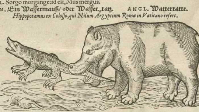 This hippo looks incredibly hungry.