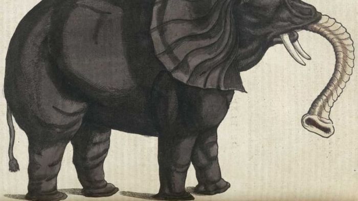 This horrifying depiction is unforgettable, whether you're an elephant or a human.