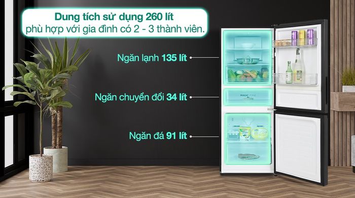 Tủ lạnh Aqua Inverter 260 lít AQR-B310MA(FB) - Dung tích