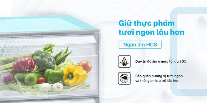 Ngăn ẩm HCS - Tủ lạnh Aqua Inverter 469 lít Multi Door AQR-M536XA(GB)