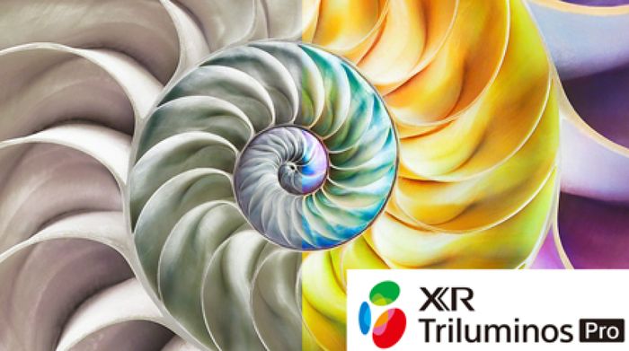 Google Tivi MiniLED Sony 4K 75 inch XR-75X95L - XR Triluminos Pro