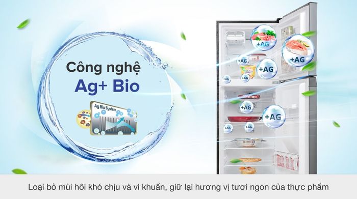 Tủ lạnh Toshiba Inverter 249 lít GR-RT325WE-PMV(06)-MG - Công nghệ khử khuẩn Ag+ Bio