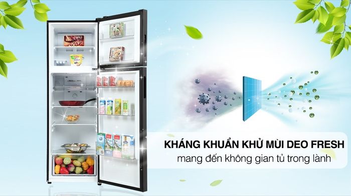 Tủ lạnh Aqua Inverter 283 lít AQR-T299FA(SL) - Công nghệ kháng khuẩn khử mùi