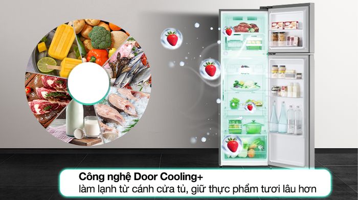Tủ lạnh LG Inverter 266 Lít GV-B262WB - Công nghệ Door Cooling+