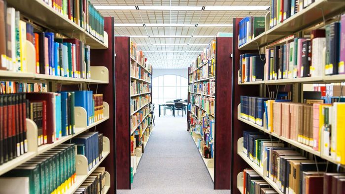 Discover the Surprising Free Perks Your Library Card Can Offer