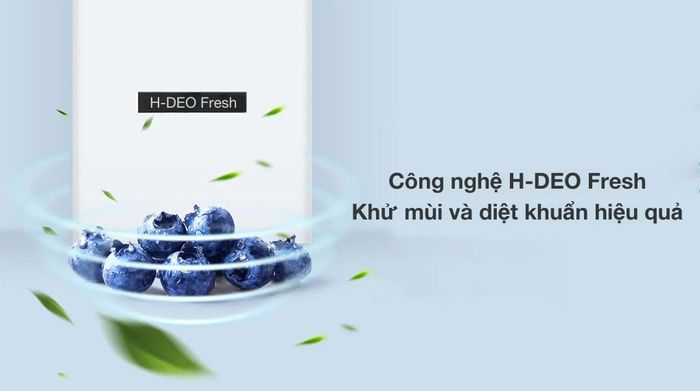 Tủ lạnh Aqua Inverter 347 lít AQR-T390FA(WGM) - Công nghệ kháng khuẩn khử mùi