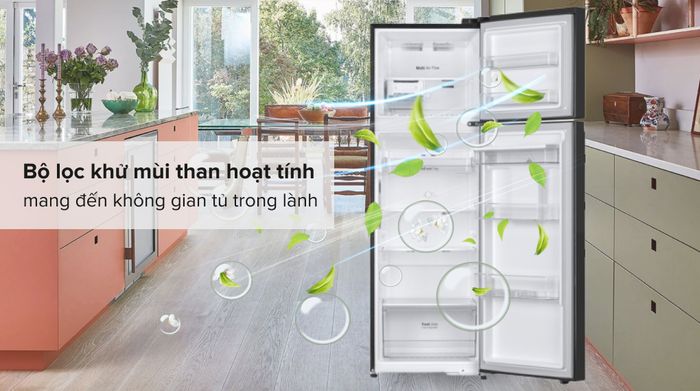 Tủ lạnh LG Inverter 264 Lít GV-D262BL - Công nghệ kháng khuẩn, khử mùi