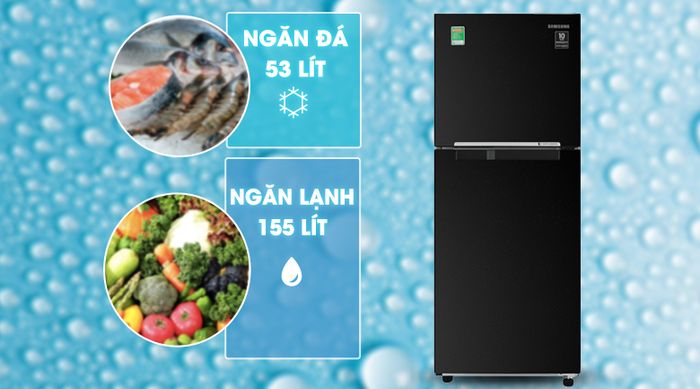 Tủ lạnh Samsung Inverter 208 lít RT20HAR8DBU/SV - Dung tích