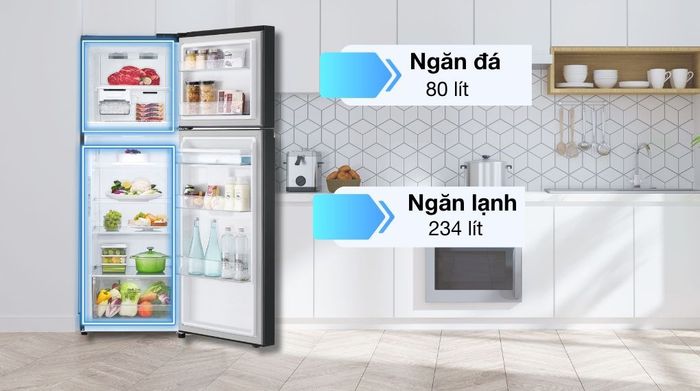 Tủ lạnh LG Inverter 314 lít LTD31BLM - Ngăn đá - ngăn lạnh