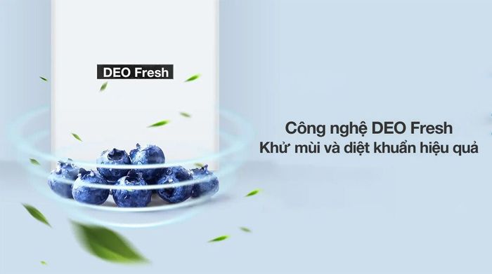 Tủ lạnh Aqua Inverter 292 lít AQR-B360MA(WSL) - Công nghệ kháng khuẩn khử mùi