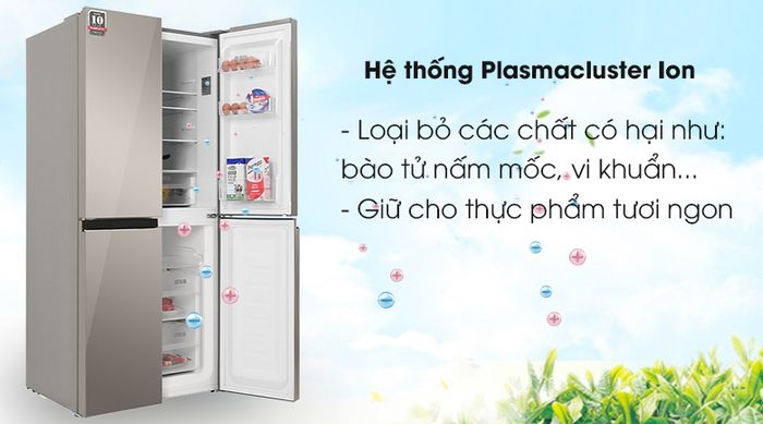 Tủ lạnh Sharp Inverter 401 lít SJ-FXP480VG-CH - công nghệ plasmacluster
