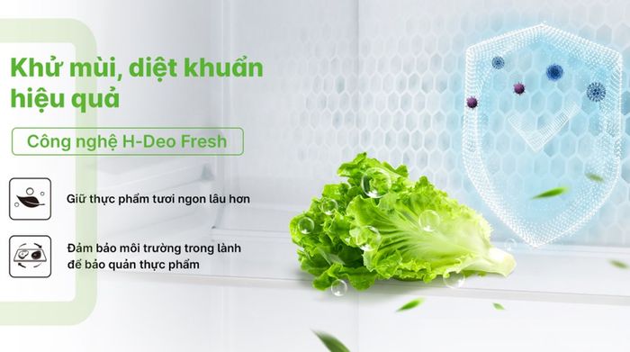 Tủ lạnh Aqua Inverter 469 lít Multi Door AQR-M536XA(WGB) - Công nghệ làm lạnh - bảo quản thực phẩm