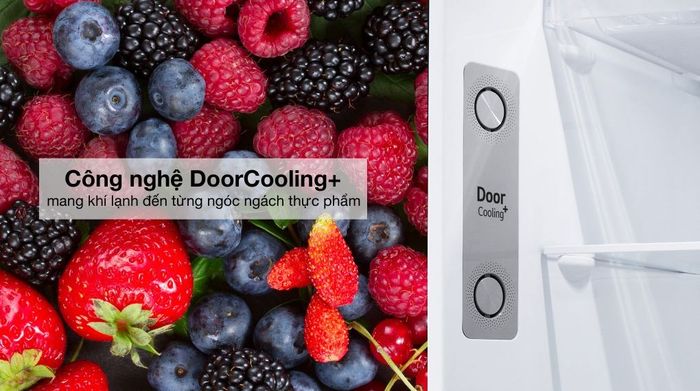 Tủ lạnh LG Inverter 314 lít LTD31BLM - Công nghệ làm lạnh