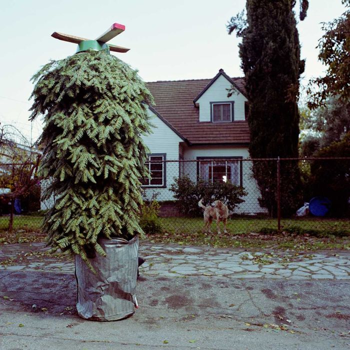 A Christmas tree placed upside down in a trash can outside a house.