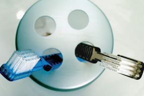 two toothbrushes placed in a toothbrush holder