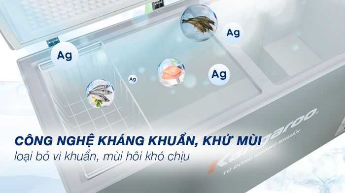 Tủ đông Kangaroo 430 lít KGFZ490IG1 - Công nghệ khử khuẩn