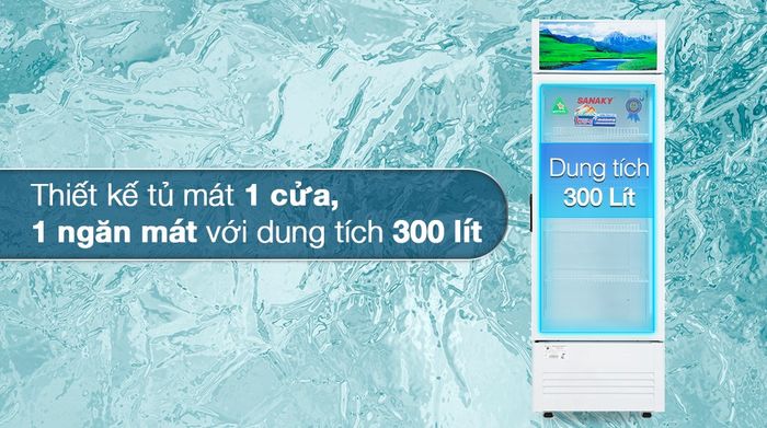 Tủ mát Sanaky 300 lít VH-3089K - Tổng quan thiết kế