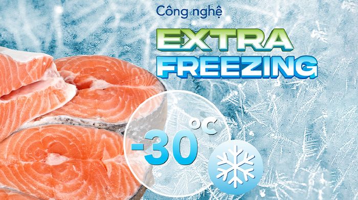 Tủ đông Hòa Phát 783 lít HPF AD6783 - Công nghệ làm lạnh