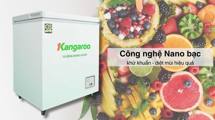 Tủ đông Kangaroo 90 lít KG090C1N - Công nghệ kháng khuẩn