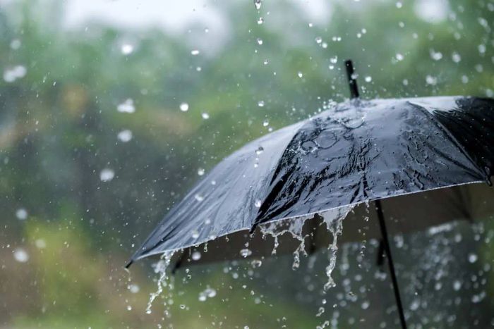 Heavy rain during the monsoon season, with an umbrella in use.