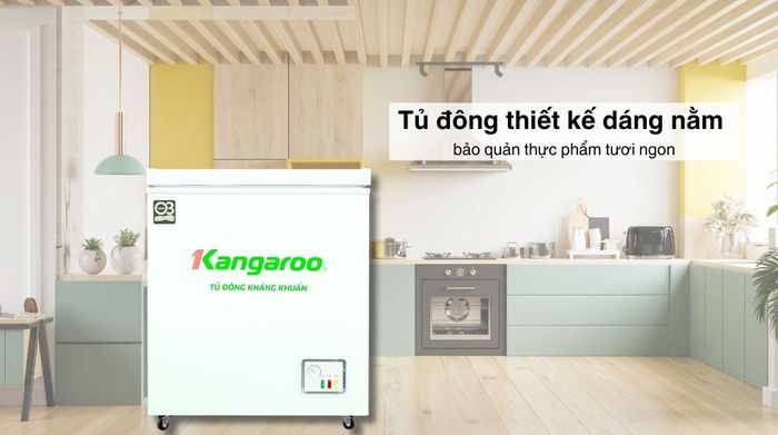 Tủ đông Kangaroo 90 lít KG090C1N - Thiết kế