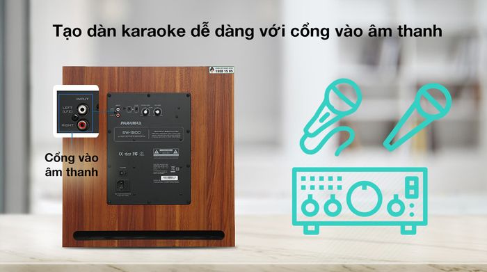 Loa siêu trầm Paramax SW-1800 500W - cổng âm thanh ở mặt sau