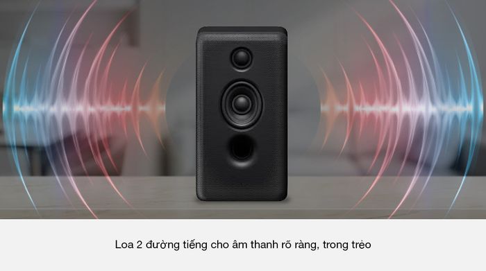 Loa sau không dây tùy chọn Sony SA-RS3S - Mẫu loa 2 đường tiếng