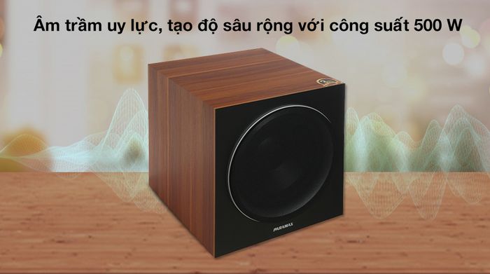 Loa siêu trầm Paramax SW-1800 500W - Công suất