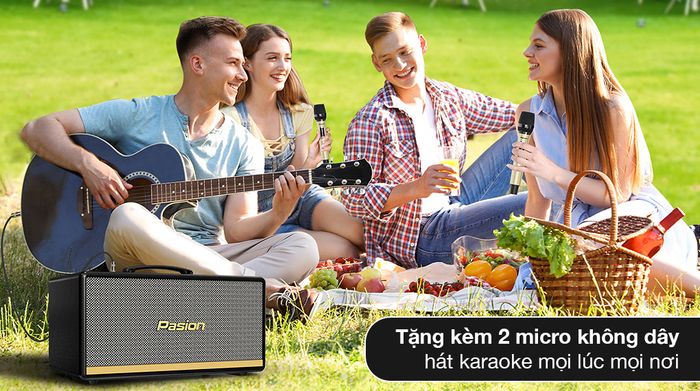 Loa karaoke xách tay PASION 2 - Tiện ích