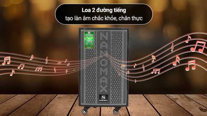 Loa kéo Karaoke Nanomax S-820 - Thiết kế