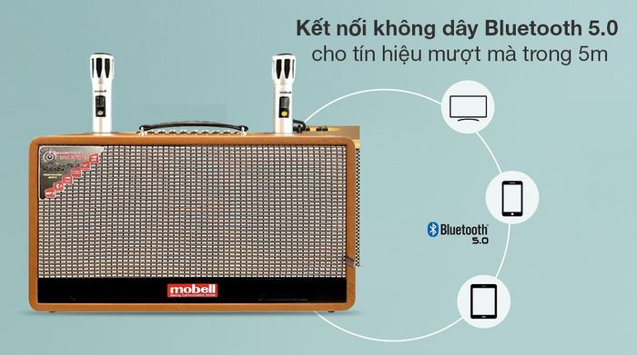 Loa karaoke xách tay Mobell MK-4960A 750W - Khả năng kết nối