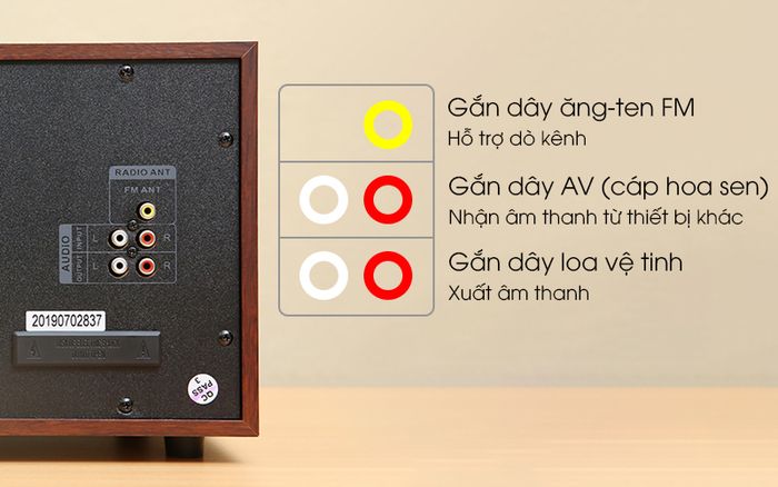 Các cổng cắm dây quen thuộc, dễ kết nối - Loa vi tính 2.1 Enkor S2850 Nâu