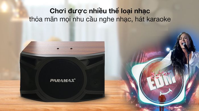 Cặp loa karaoke Paramax LX-1800 600W - Chơi nhiều thể loại
