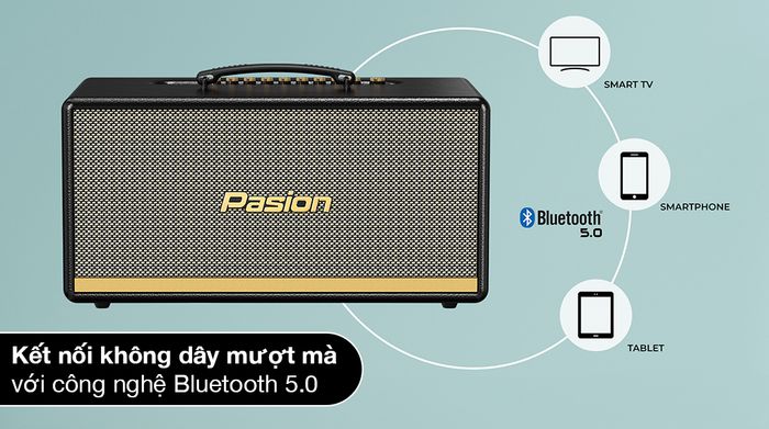 Loa karaoke xách tay PASION 2 - Kết nối