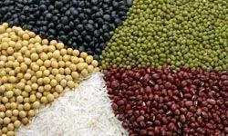 whole grains and legumes