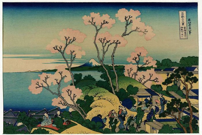 A picturesque scene of cherry trees in full bloom in Japan, with Mount Fuji visible in the background.